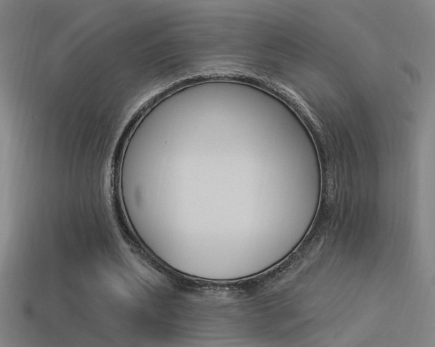 X0000114510439200910190932