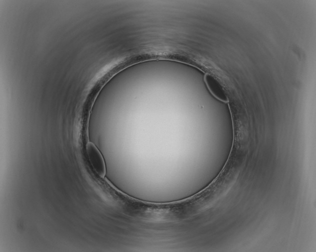 X0000114510440200910190932