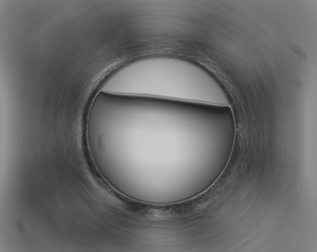 X0000114510442200910190932