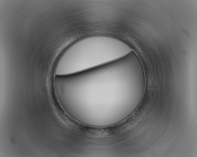 X0000114510443200910190932