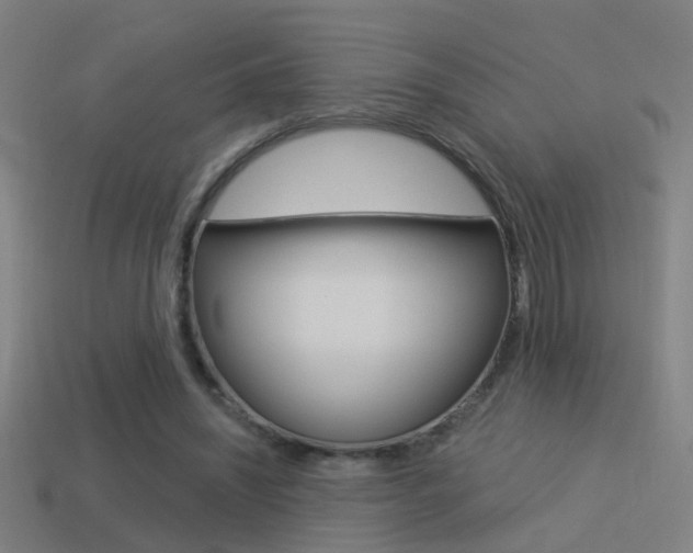 X0000114510444200910190932