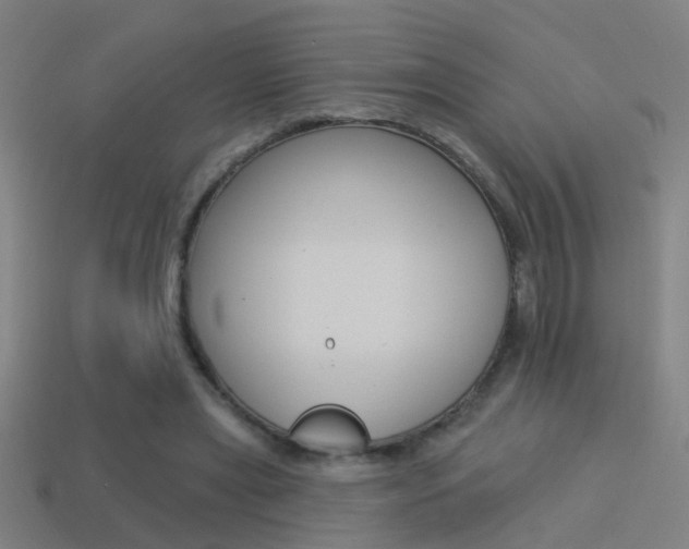 X0000114510445200910190932