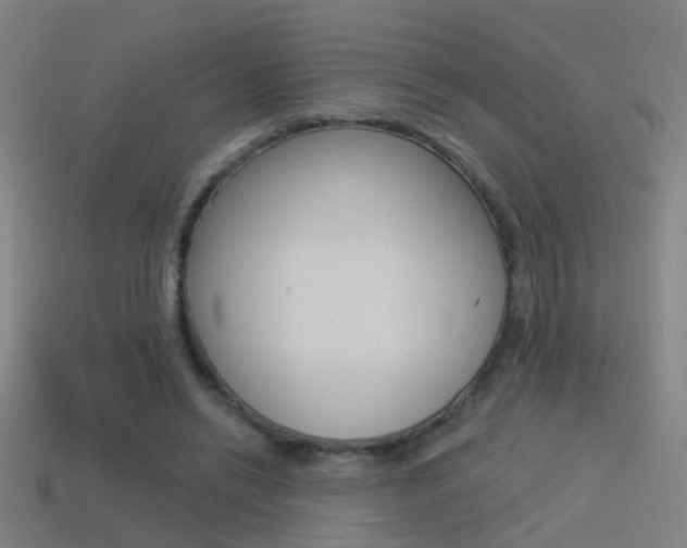 X0000114510446200910190932