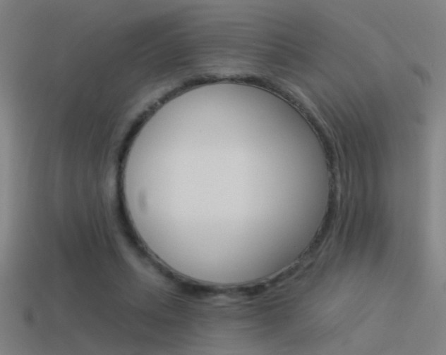 X0000114510447200910190932
