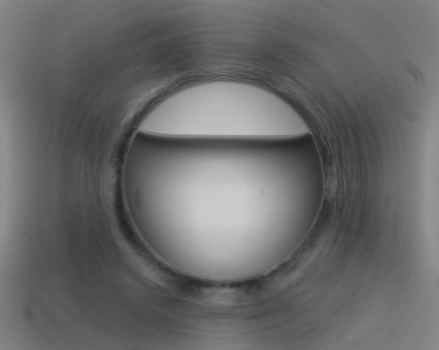 X0000114510448200910190932