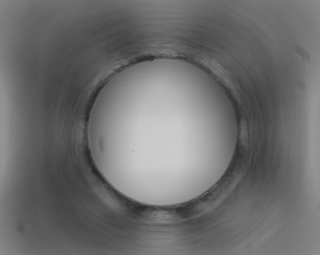 X0000114510449200910190932