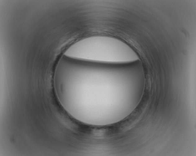 X0000114510450200910190932