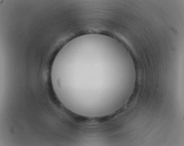 X0000114510451200910190932
