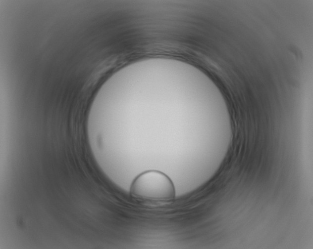 X0000114510452200910190932