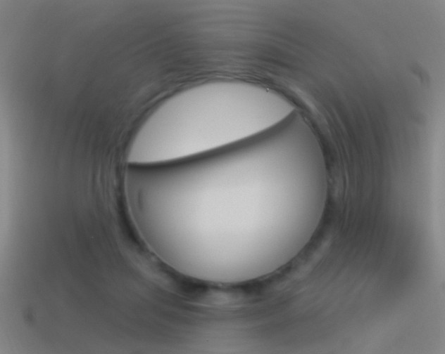 X0000114510455200910190932