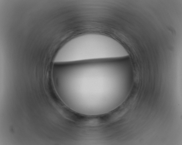X0000114510456200910190932