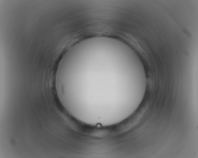 X0000114510458200910190932