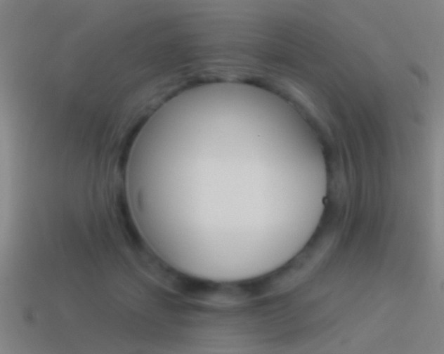 X0000114510459200910190932