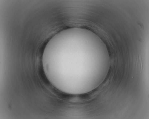 X0000114510460200910190932
