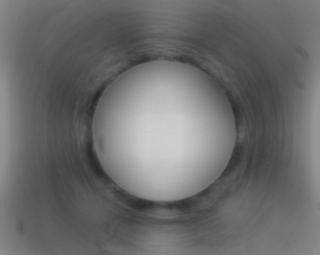 X0000114510464200910190932