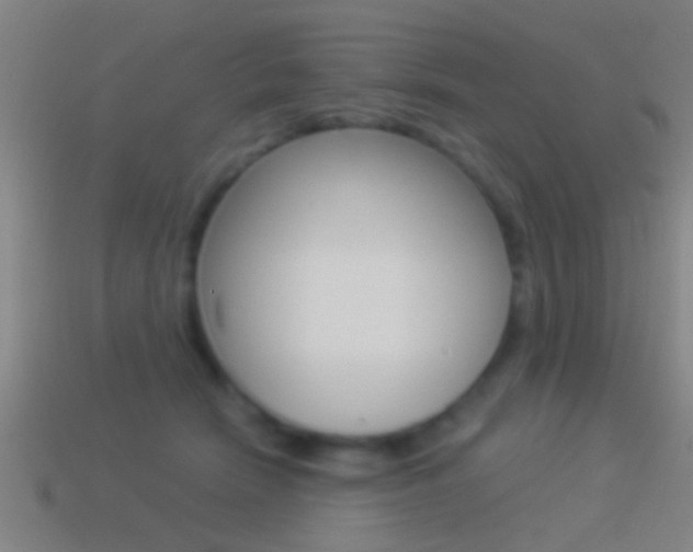 X0000114510466200910190932