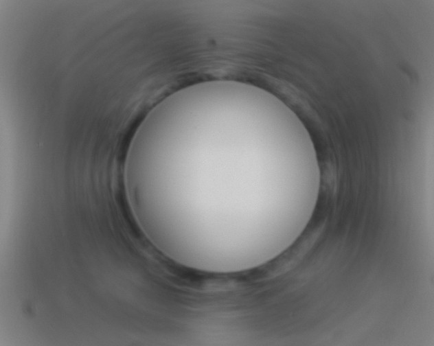 X0000114510470200910190933