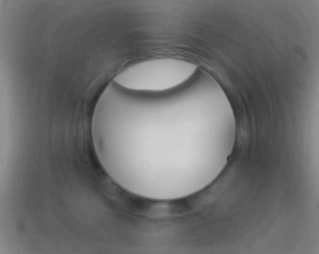 X0000114510473200910190933