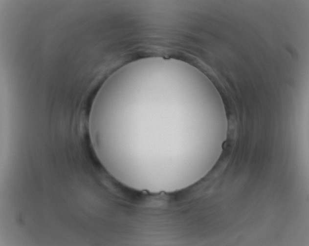 X0000114510474200910190933