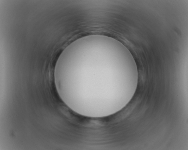 X0000114510475200910190933