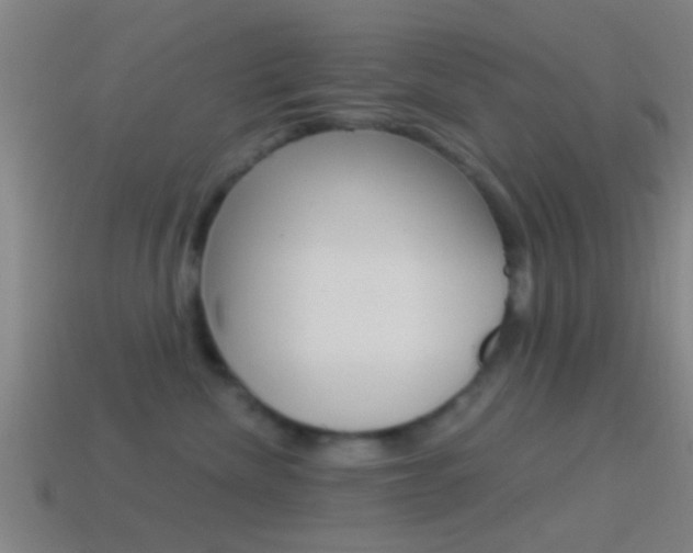X0000114510476200910190933