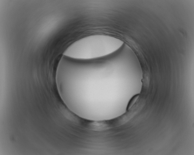 X0000114510477200910190933