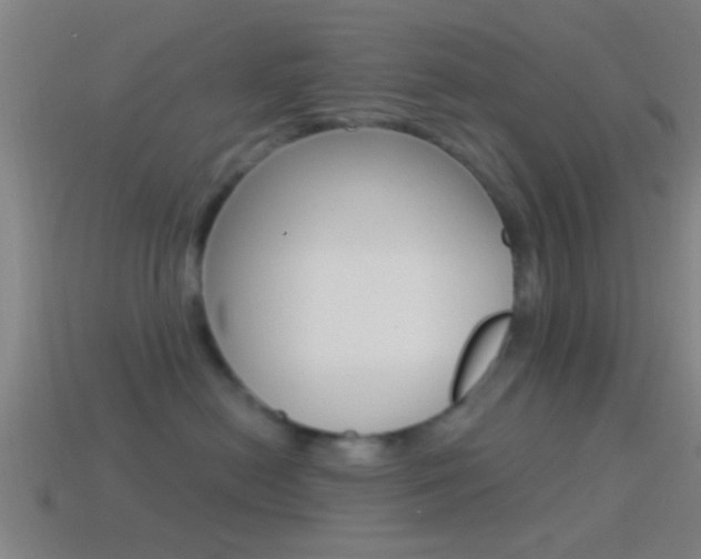 X0000114510478200910190933