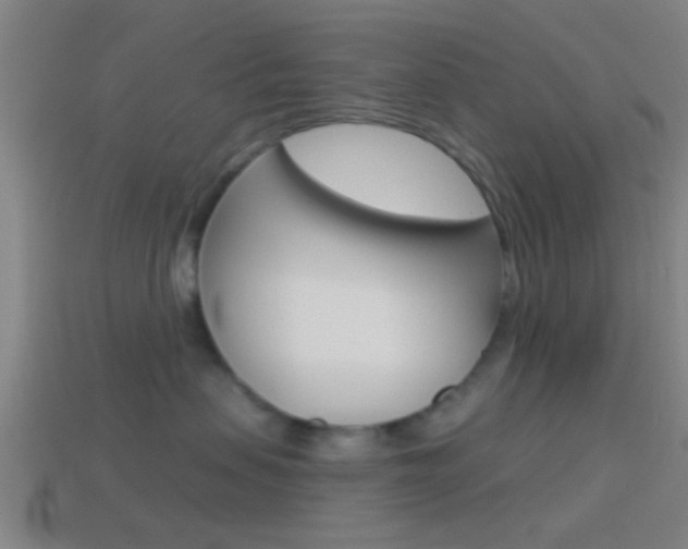 X0000114510479200910190933