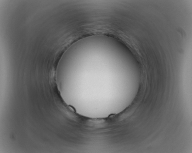 X0000114510480200910190933