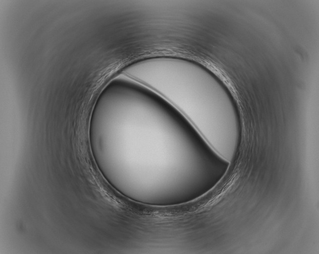 X0000114510481200910190932