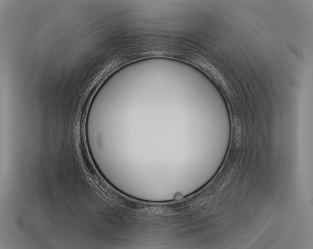 X0000114510482200910190932