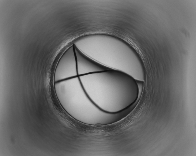 X0000114510483200910190932