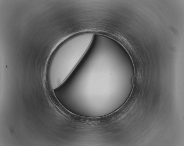 X0000114510484200910190932