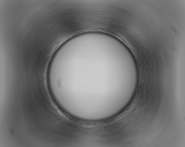 X0000114510485200910190932