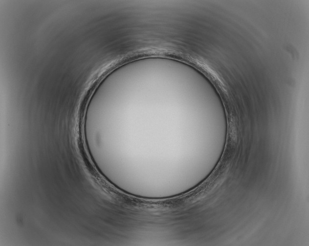 X0000114510486200910190932