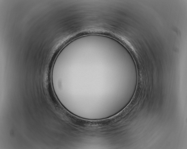 X0000114510487200910190932