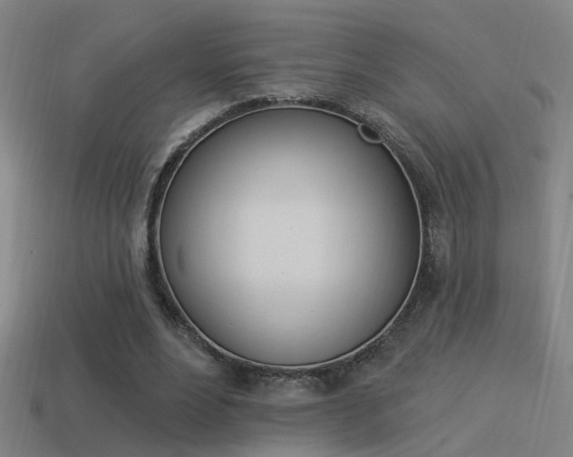 X0000114510488200910190932