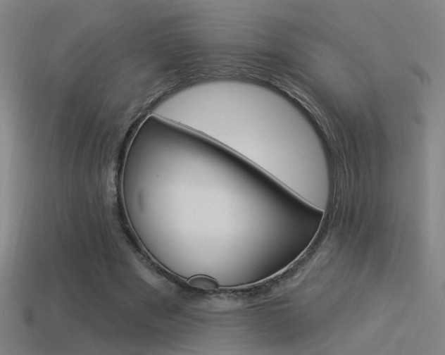 X0000114510489200910190932