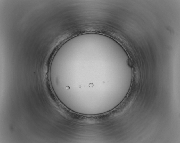 X0000114510490200910190932