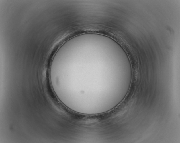 X0000114510491200910190932