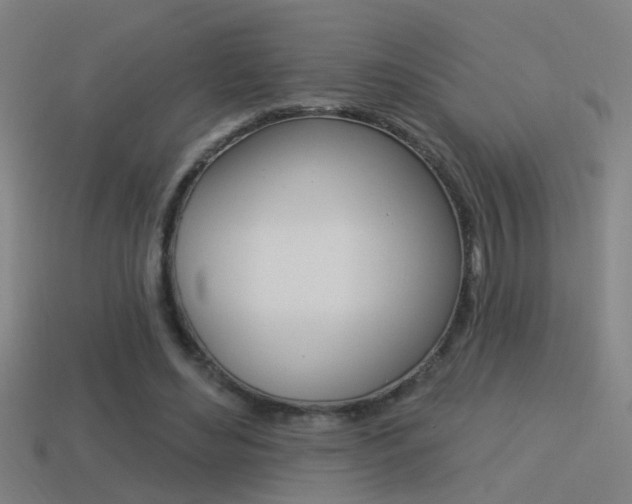X0000114510492200910190932