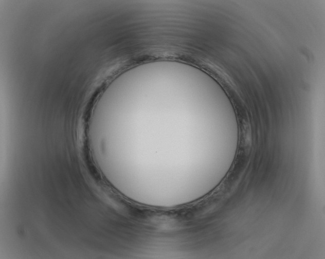 X0000114510494200910190932