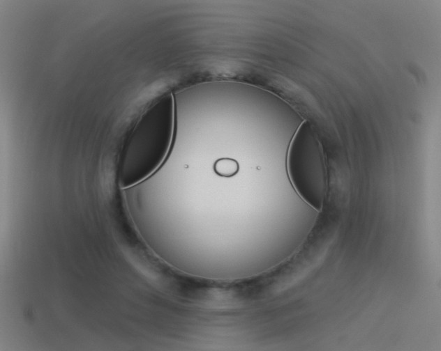 X0000114510496200910190932