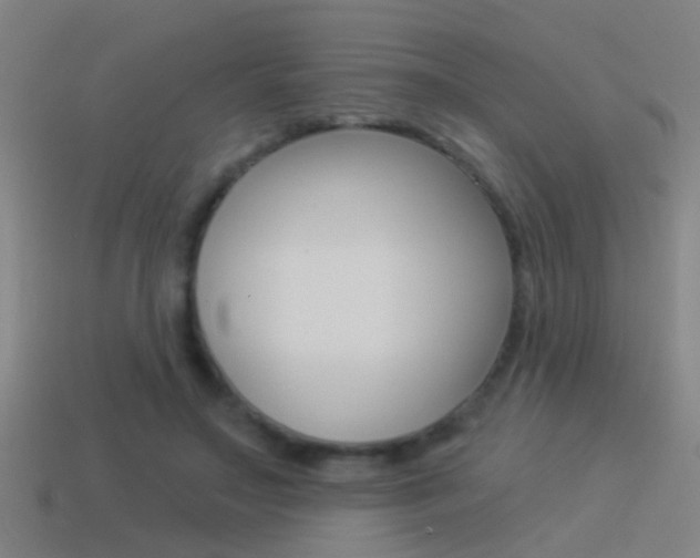 X0000114510499200910190932