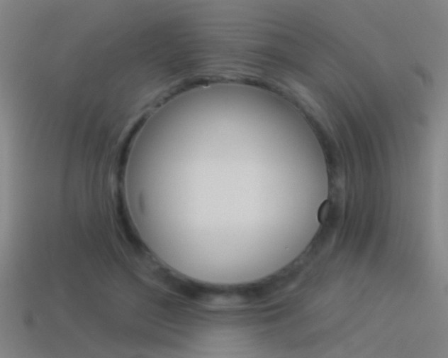 X0000114510500200910190932