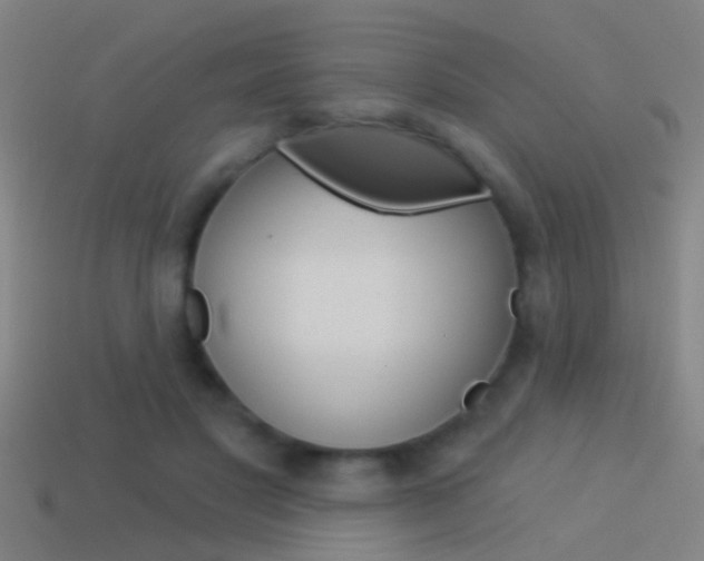X0000114510501200910190932