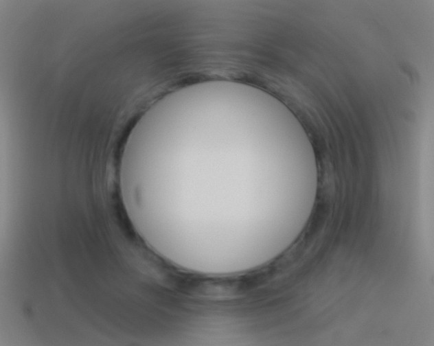X0000114510502200910190932