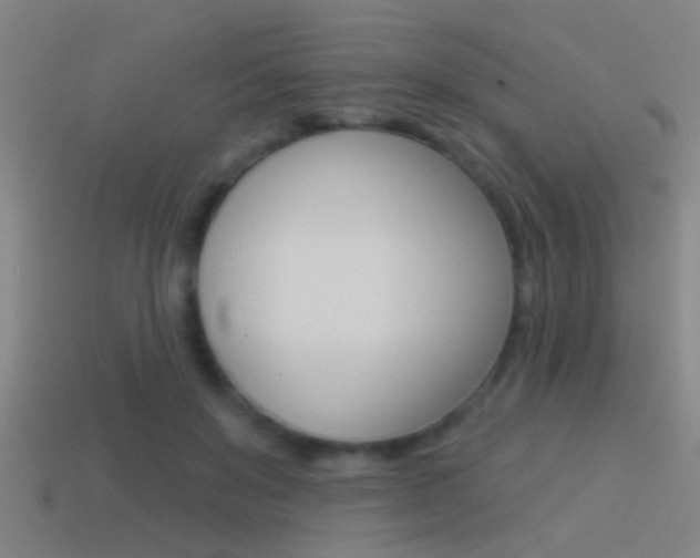 X0000114510503200910190932