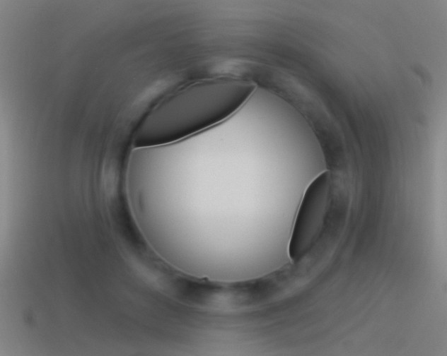 X0000114510504200910190932