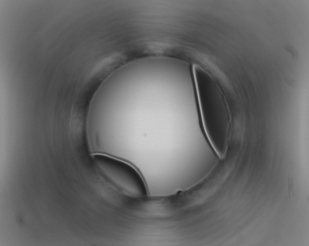 X0000114510505200910190932